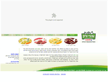 Tablet Screenshot of anvei-zion.com
